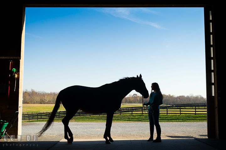 Girl tending to her horse in the barn. Montgomery County high school senior portrait session at Wyndham Oaks, Boyds, Maryland horse stables by photographer Leo Dj Photography. http://leodjphoto.com