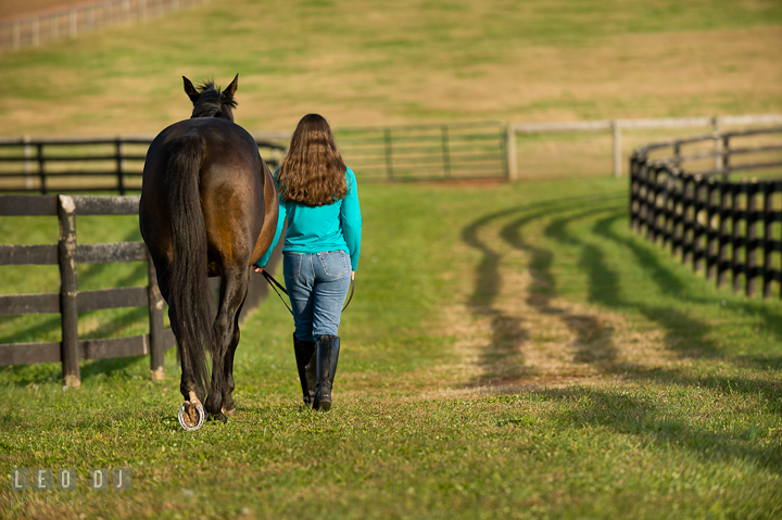 Girl and her horse walking away. Montgomery County high school senior portrait session at Wyndham Oaks, Boyds, Maryland horse stables by photographer Leo Dj Photography. http://leodjphoto.com