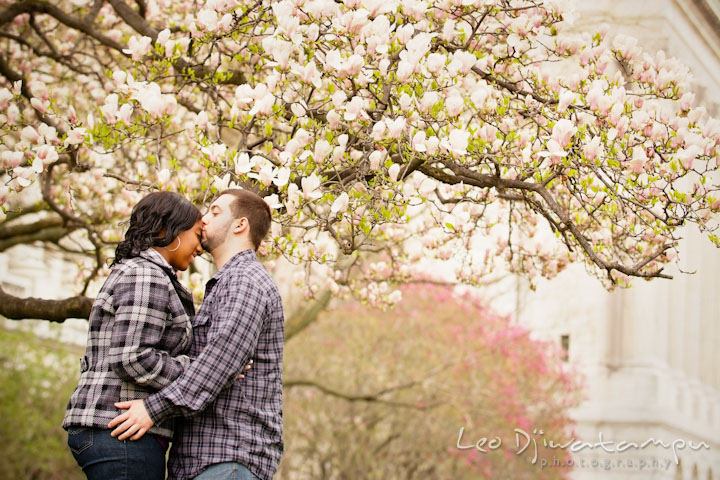 Engaged girl kissed by her fiancé by a flowering magnolia tree. Pre wedding engagement photo session the Mall, National Monument, The Capitol, Washington DC by wedding photographer Leo Dj Photography