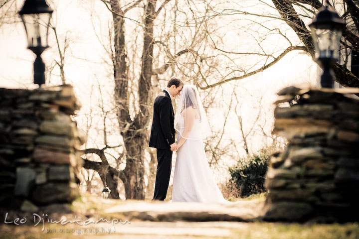 Bride and groom holding hands. Clifton Inn Charlottesville VA Destination Wedding Photographer