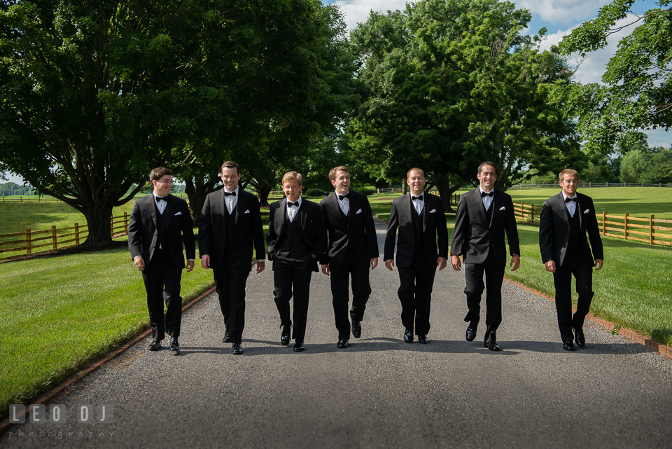 The Groom with his entourage of Best Man and Groomsmen walking together. Aspen Wye River Conference Centers wedding at Queenstown Maryland, by wedding photographers of Leo Dj Photography. http://leodjphoto.com