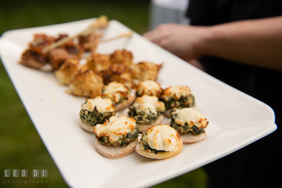 Hors d'oeuvres served at the wedding reception. Aspen Wye River Conference Centers wedding at Queenstown Maryland, by wedding photographers of Leo Dj Photography. http://leodjphoto.com