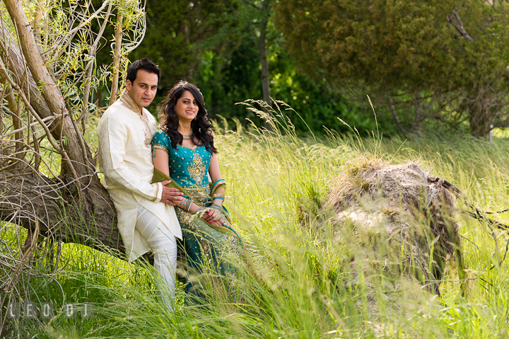 Engaged couple sitting on a tree bark. Indian pre-wedding or engagement photo session at Eastern Shore beach, Maryland, by wedding photographers of Leo Dj Photography.