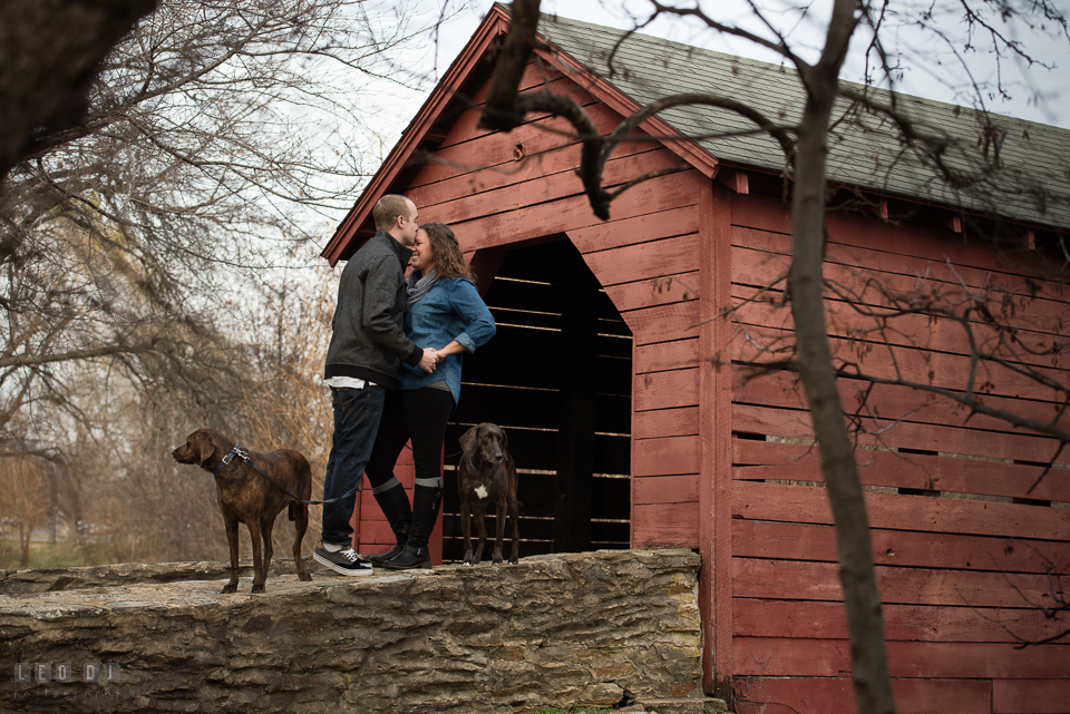 Baker Park Frederick Maryland engaged man kissing his fiancée while holding dogs photo by Leo Dj Photography.