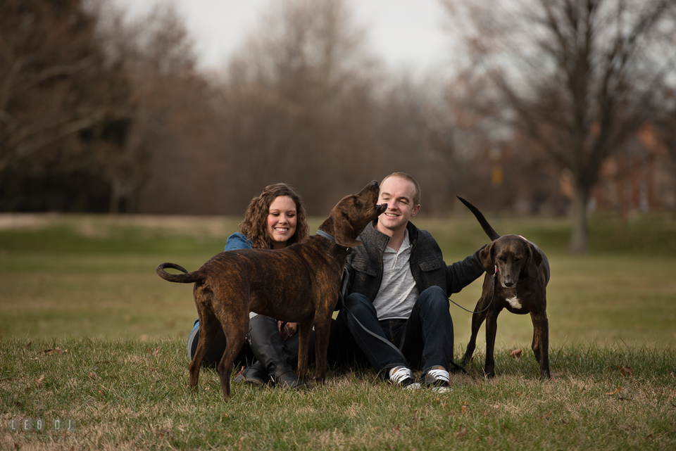 Baker Park Frederick Maryland engaged girl with fiance playing with plott hound pet dogs photo by Leo Dj Photography.