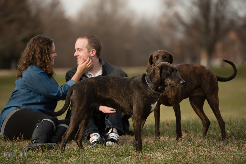 Baker Park Frederick Maryland engaged girl cuddling with fiancé by their dogs photo by Leo Dj Photography.