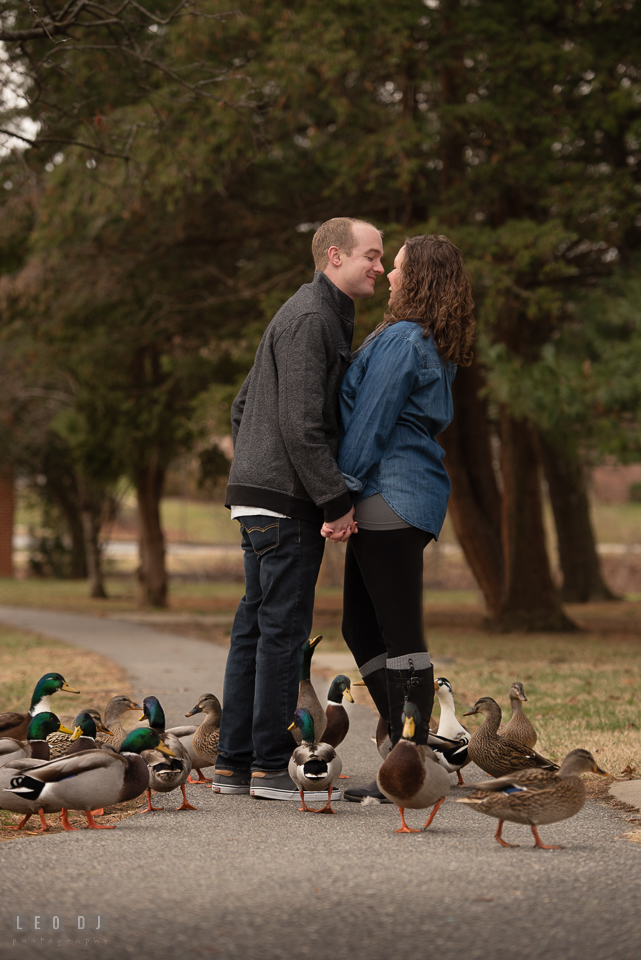 Baker Park Frederick Maryland engaged man almost kiss fiancé surrounded by ducks photo by Leo Dj Photography.