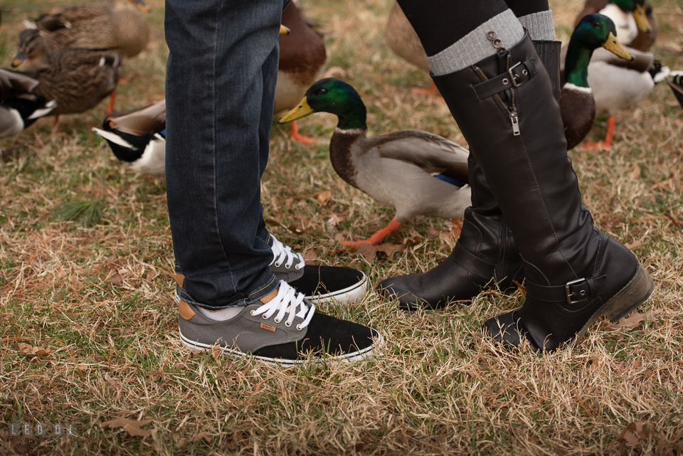 Baker Park Frederick Maryland ducks peeking through legs of engaged girl and fiance photo by Leo Dj Photography.