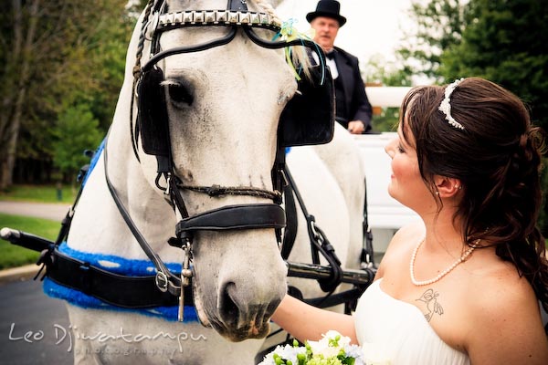 bride horse love annapolis kent island maryland wedding photography photographers