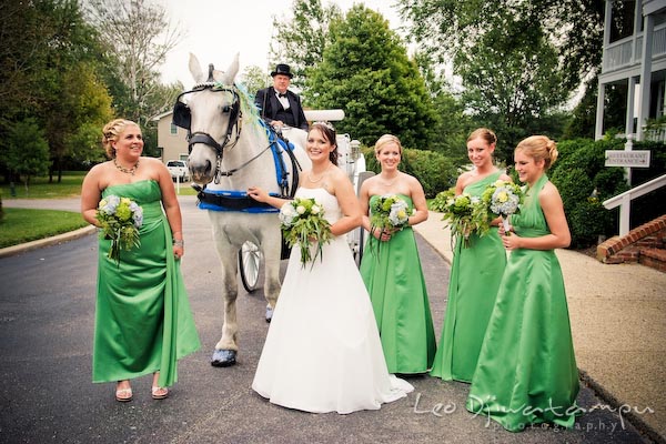bride's party posing with horse carriage annapolis kent island maryland wedding photography photographers