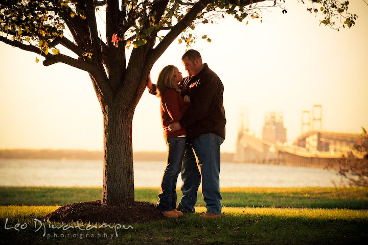 engaged couple by tree, beautiful afternoon light, overlooking at Bay Bridge and Annapolis. Engagement Photographer Matapeake Beach, Chesapeake Bay