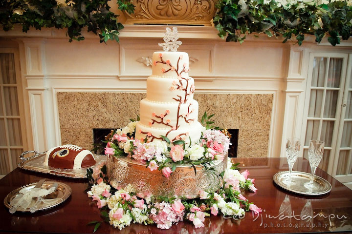 Wedding cake, and football cake. Fredericksburg Square Wedding, Fredericksburg Virginia Wedding Photographer