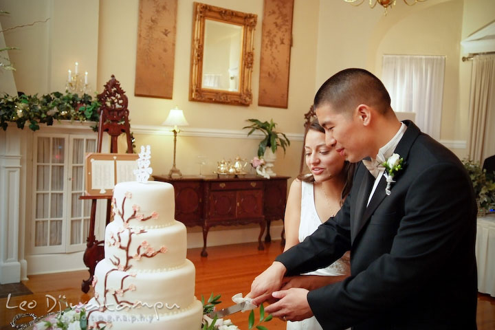 Bride and groom cutting cake. Fredericksburg Square Wedding, Fredericksburg Virginia Wedding Photographer