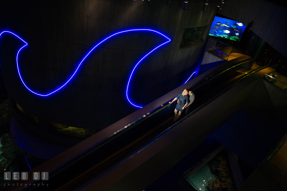 Engaged couple cuddling on the escalator. Baltimore MD pre-wedding engagement photo session at National Aquarium in Baltimore, by wedding photographers of Leo Dj Photography. http://leodjphoto.com