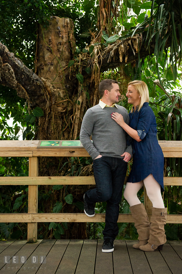 Engaged couple cuddling by a huge tropical tree. Baltimore MD pre-wedding engagement photo session at National Aquarium in Baltimore, by wedding photographers of Leo Dj Photography. http://leodjphoto.com