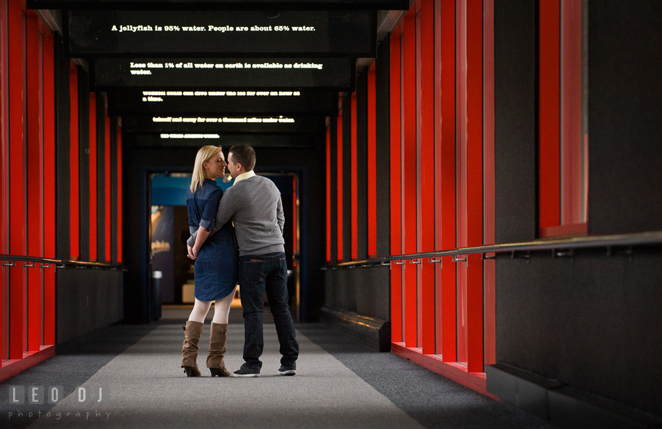 Engaged girl pulling fiancé and almost kiss him as they were walking away. Baltimore MD pre-wedding engagement photo session at National Aquarium in Baltimore, by wedding photographers of Leo Dj Photography. http://leodjphoto.com