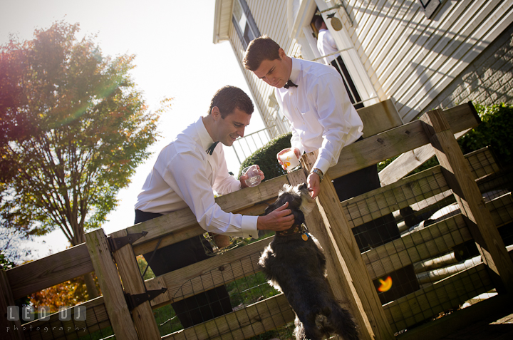 Groom and brother playing with dog. Getting ready wedding photos at Baltimore Marriott Waterfront by photographers of Leo Dj Photography. http://leodjphoto.com