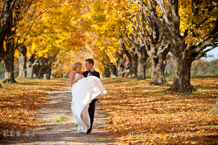 Groom carried Bride in between yellow fall foliage trees. Baltimore Museum of Industry wedding photos by photographers of Leo Dj Photography. http://leodjphoto.com