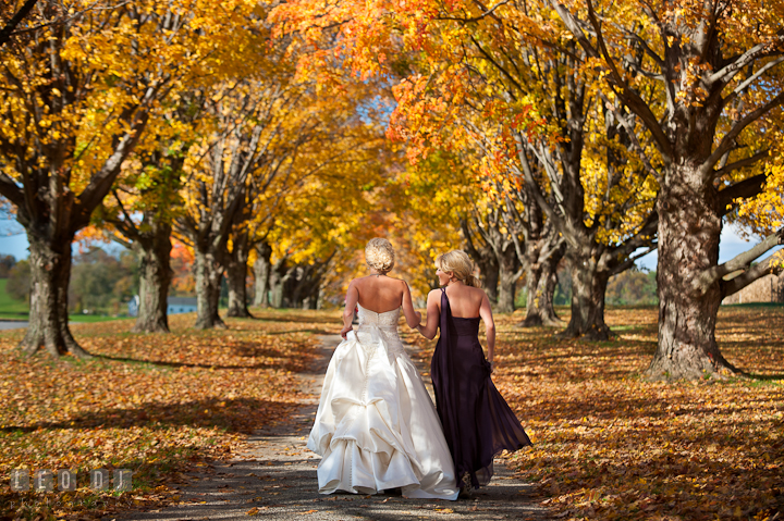 Bride and Maid of Honor walking in between yellow fall foliage trees. Baltimore Museum of Industry wedding photos by photographers of Leo Dj Photography. http://leodjphoto.com