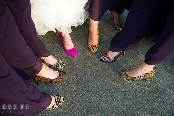 Bride, Maid of Honor, and Bridesmaids showing their leopard print shoes. Baltimore Museum of Industry wedding photos by photographers of Leo Dj Photography. http://leodjphoto.com