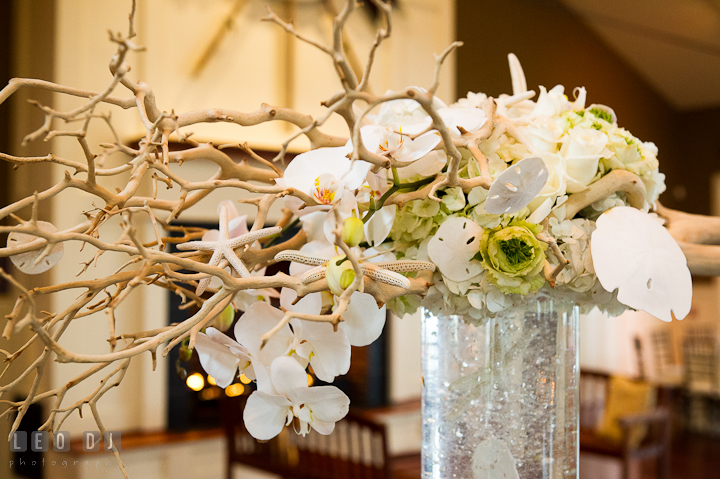 Sand dollar, star fish and white orchids table centerpiece by Intrigue Design and Decor. Chesapeake Bay Beach Club wedding bridal testing photos by photographers of Leo Dj Photography. http://leodjphoto.com