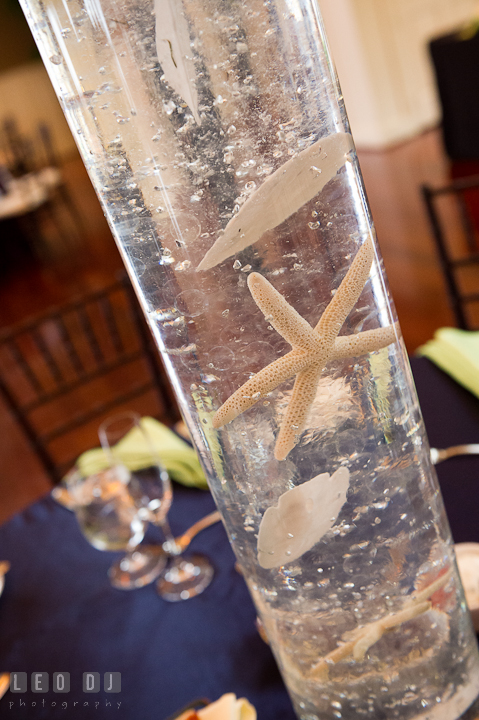 Sand dollar and starfish filled vase for table centerpiece by Intrige Design and Decor. Chesapeake Bay Beach Club wedding bridal testing photos by photographers of Leo Dj Photography. http://leodjphoto.com