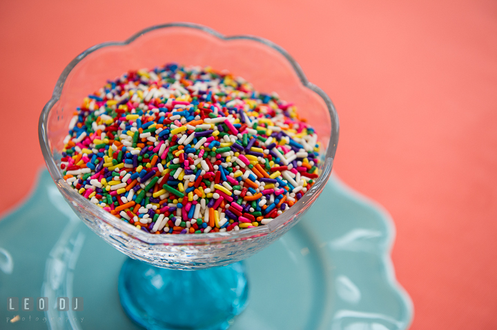 Colorful jimmies chocolate sprinkle topping for ice cream. Chesapeake Bay Beach Club wedding bridal testing photos by photographers of Leo Dj Photography. http://leodjphoto.com