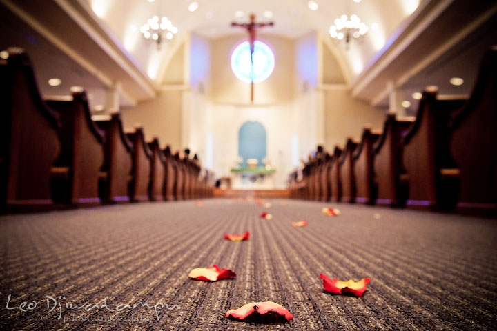 Church aisle with red rose flower petals on the floor