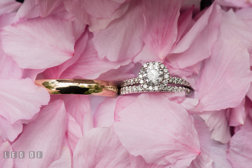 Kent Manor Inn wedding ring and band with diamond engagement ring photo by Leo Dj Photography