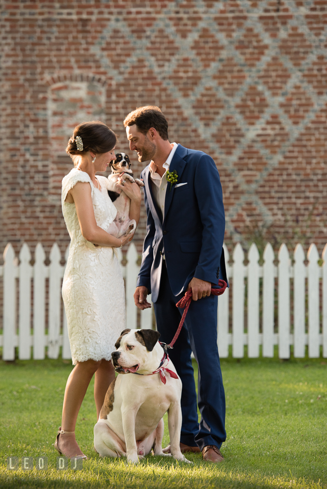 Bride and Groom spending time with their dogs. The Oaks Waterfront Inn wedding, St Michaels, Eastern Shore, Maryland, by wedding photographers of Leo Dj Photography. http://leodjphoto.com