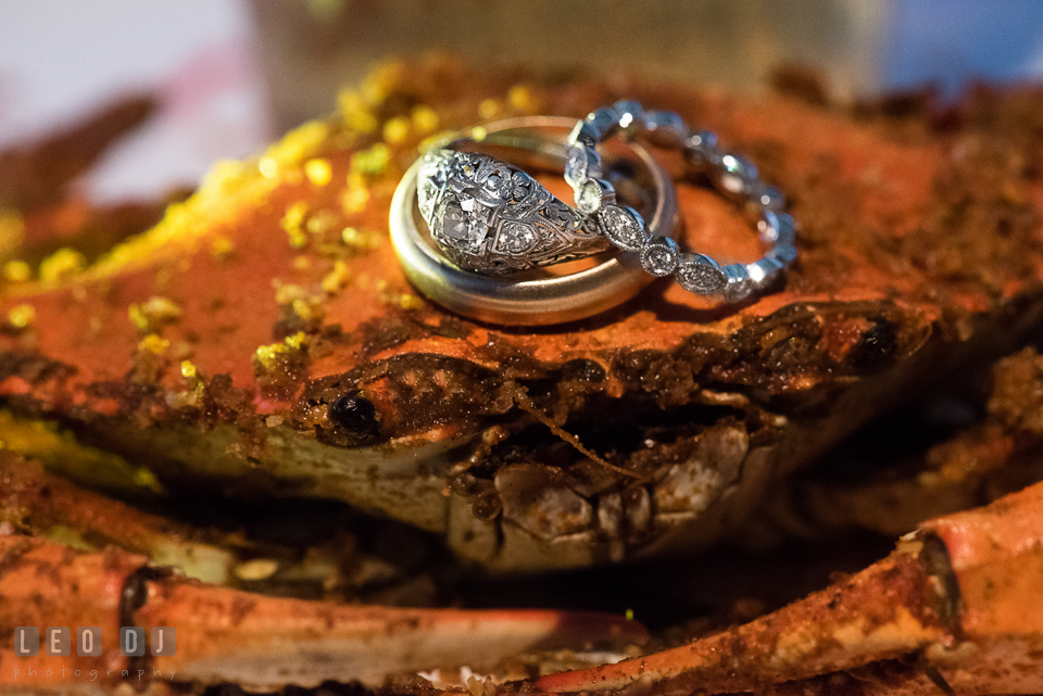 Wedding bands and engagement ring on top of a steamed Maryland crab. The Oaks Waterfront Inn wedding, St Michaels, Eastern Shore, Maryland, by wedding photographers of Leo Dj Photography. http://leodjphoto.com