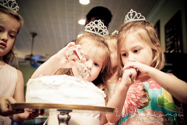 girl putting sprinkler on cake. Children family reunion birthday photography Tilghman Island Annapolis Kent Island Eastern Shore MD