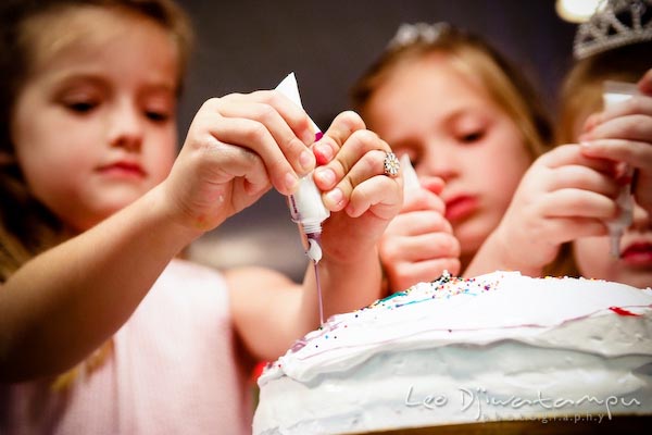 girl adding color to cake. Children family reunion birthday photography Tilghman Island Annapolis Kent Island Eastern Shore MD