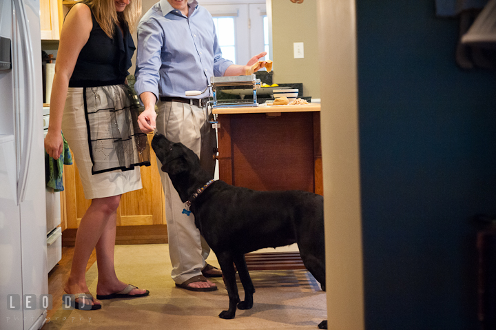 Engaged couple giving some pasta dough to their dog. Engagement photo session at town home near Federal Hill Baltimore Maryland by wedding photographers of Leo Dj Photography (http://leodjphoto.com)