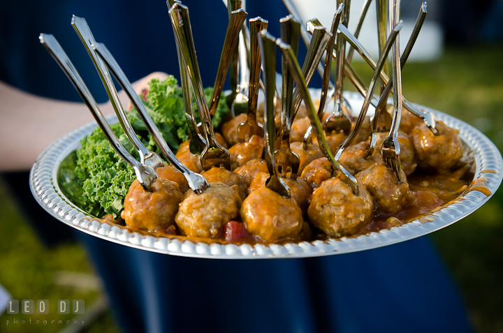 Hor d'oeuvres for the guests. Getting ready and ceremony wedding photos at private estate at Preston, Easton, Eastern Shore, Maryland by photographers of Leo Dj Photography. http://leodjphoto.com