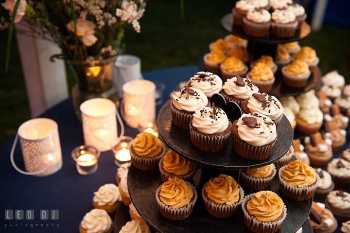 Cupcakes to be cut by the Bride and Groom. Reception party wedding photos at private estate at Preston, Easton, Eastern Shore, Maryland by photographers of Leo Dj Photography. http://leodjphoto.com