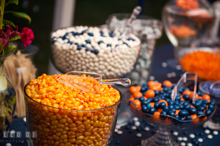 Assorted candies for desert. Reception party wedding photos at private estate at Preston, Easton, Eastern Shore, Maryland by photographers of Leo Dj Photography. http://leodjphoto.com