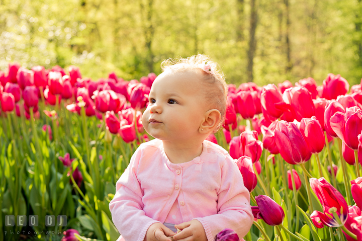 Baby standing by red tulips. Washington DC, Silver Spring, Maryland candid children and family lifestyle photo session by photographers of Leo Dj Photography.