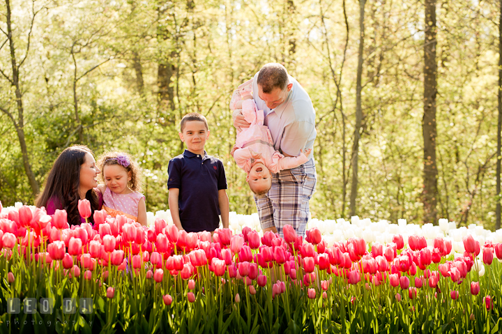 Family posing and playing by red and white tulips. Washington DC, Silver Spring, Maryland candid children and family lifestyle photo session by photographers of Leo Dj Photography.