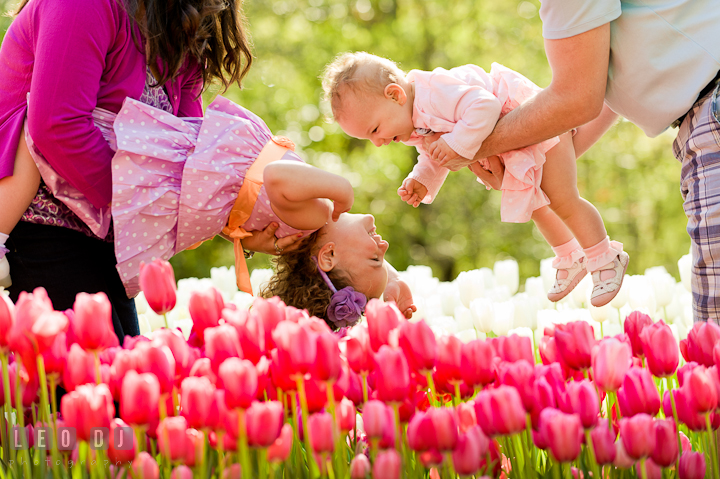 Little girl upside down and baby laughing. Washington DC, Silver Spring, Maryland candid children and family lifestyle photo session by photographers of Leo Dj Photography.