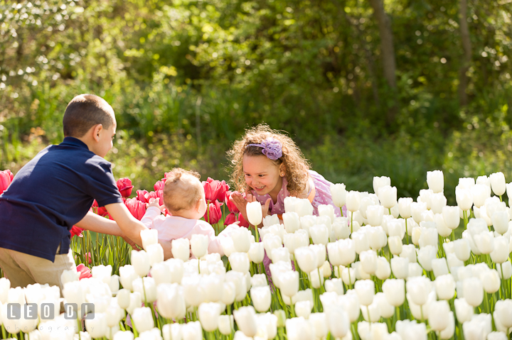 Little boy, girl and baby playing hide and seek between the flowers. Washington DC, Silver Spring, Maryland candid children and family lifestyle photo session by photographers of Leo Dj Photography.