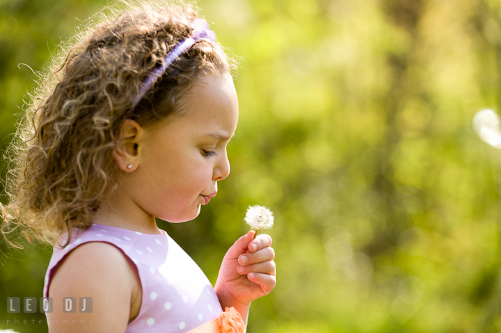 Little girl blowing dandelion seeds. Washington DC, Silver Spring, Maryland candid children and family lifestyle photo session by photographers of Leo Dj Photography.