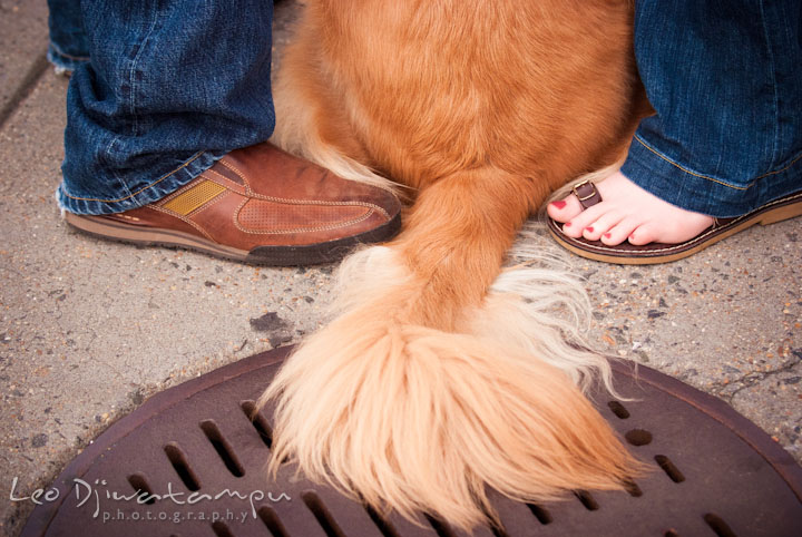 An engaged guy, his fiancée and their dog's tail. Washington DC National Zoo pre-wedding engagement session by Leo Dj Photography