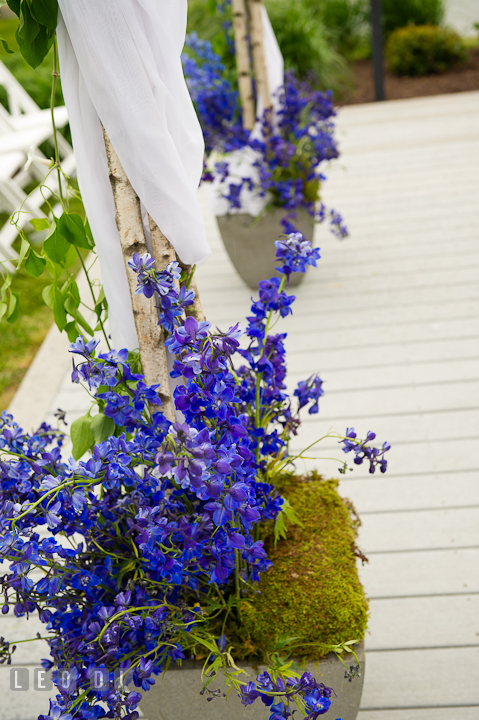 Blue flower pots for the poles of the Chuppah. Harbourtowne Golf Resort wedding photos at St. Michaels, Eastern Shore, Maryland by photographers of Leo Dj Photography.