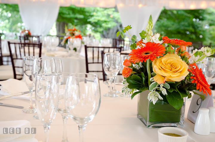 Yellow rose and orange gerbera daisy flowers for table centerpiece. Historic London Town and Gardens wedding photos at Edgewater Annapolis, Maryland by photographers of Leo Dj Photography. http://leodjphoto.com