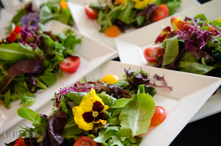 Salad from Ken's Creative Kitchen decorated with flowers. Historic London Town and Gardens wedding photos at Edgewater Annapolis, Maryland by photographers of Leo Dj Photography. http://leodjphoto.com