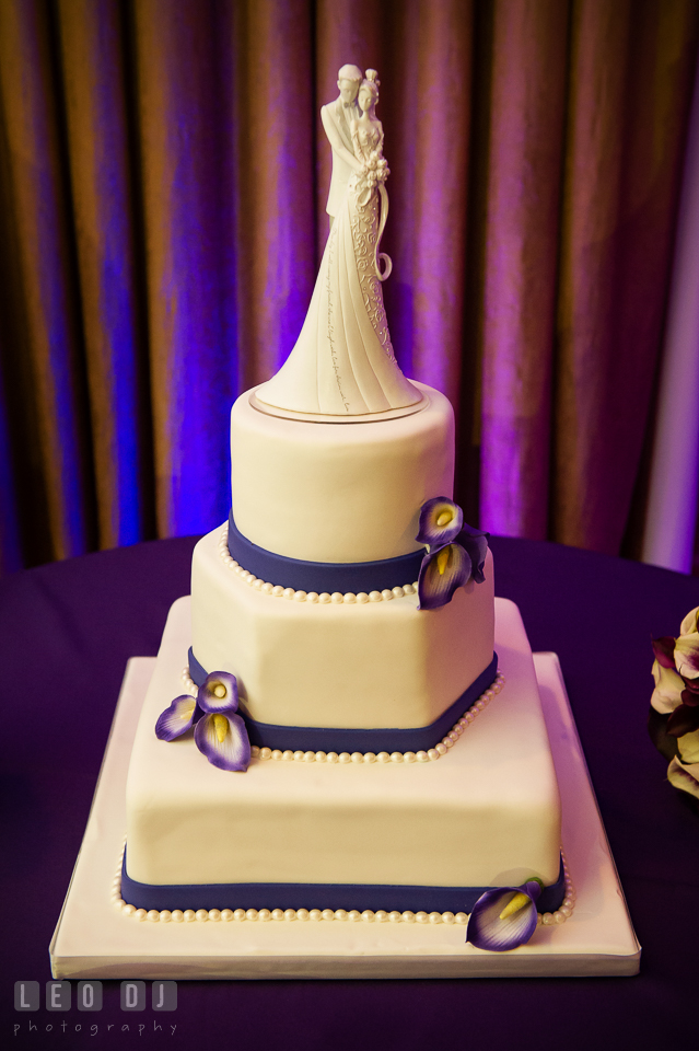 The wedding cake by The Icing Baking Company. Harbour View Events Woodbridge Virginia wedding ceremony and reception photo, by wedding photographers of Leo Dj Photography. http://leodjphoto.com