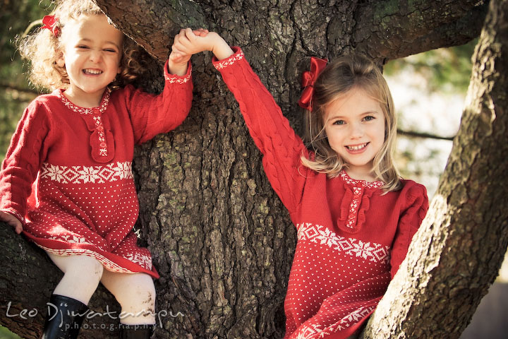 two sisters sitting on a tree, holding up hands high, big smile. Candid children photographer St Michael Tilghman Island MD