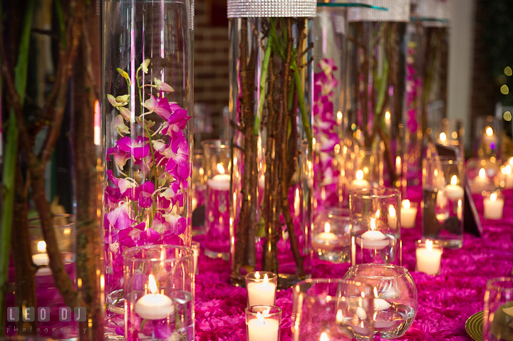 Purple orchids inside tall glass vase. Historic Inns of Annapolis wedding bridal fair photos at Calvert House by photographers of Leo Dj Photography. http://leodjphoto.com