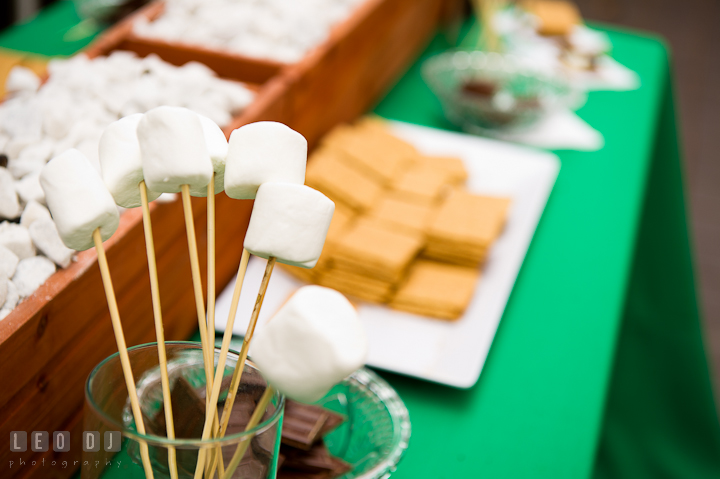 Mushroom, graham crackers, and chocolate for s'mores. Historic Inns of Annapolis wedding bridal fair photos at Calvert House by photographers of Leo Dj Photography. http://leodjphoto.com